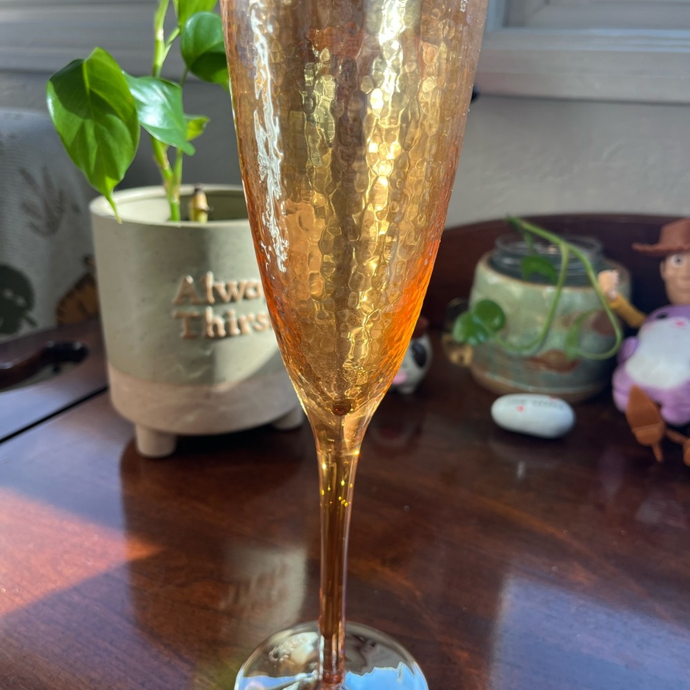 Anthropologie Zaza Lustered Flute

Champagne Flute Glass
Anthropologie